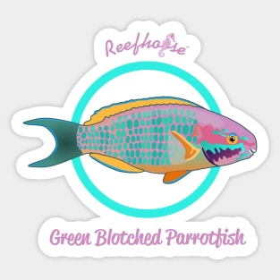 Green Blotched Parrotfish Sticker